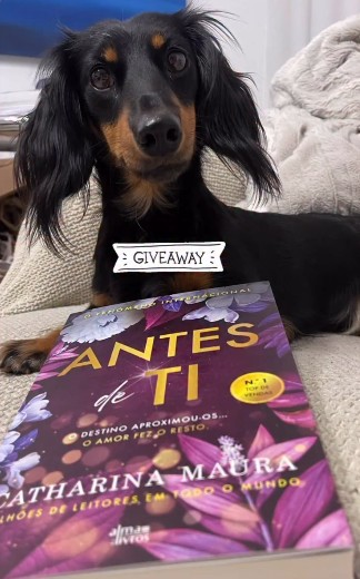 Antes de Ti - Catharina Maura