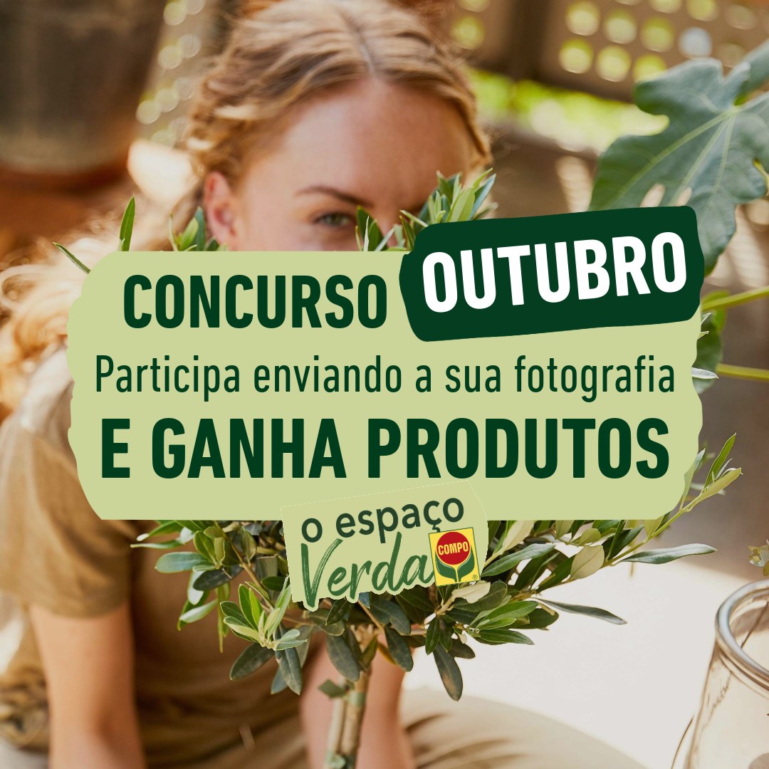 Passatempo de Outubro - COMPO Jardinagem