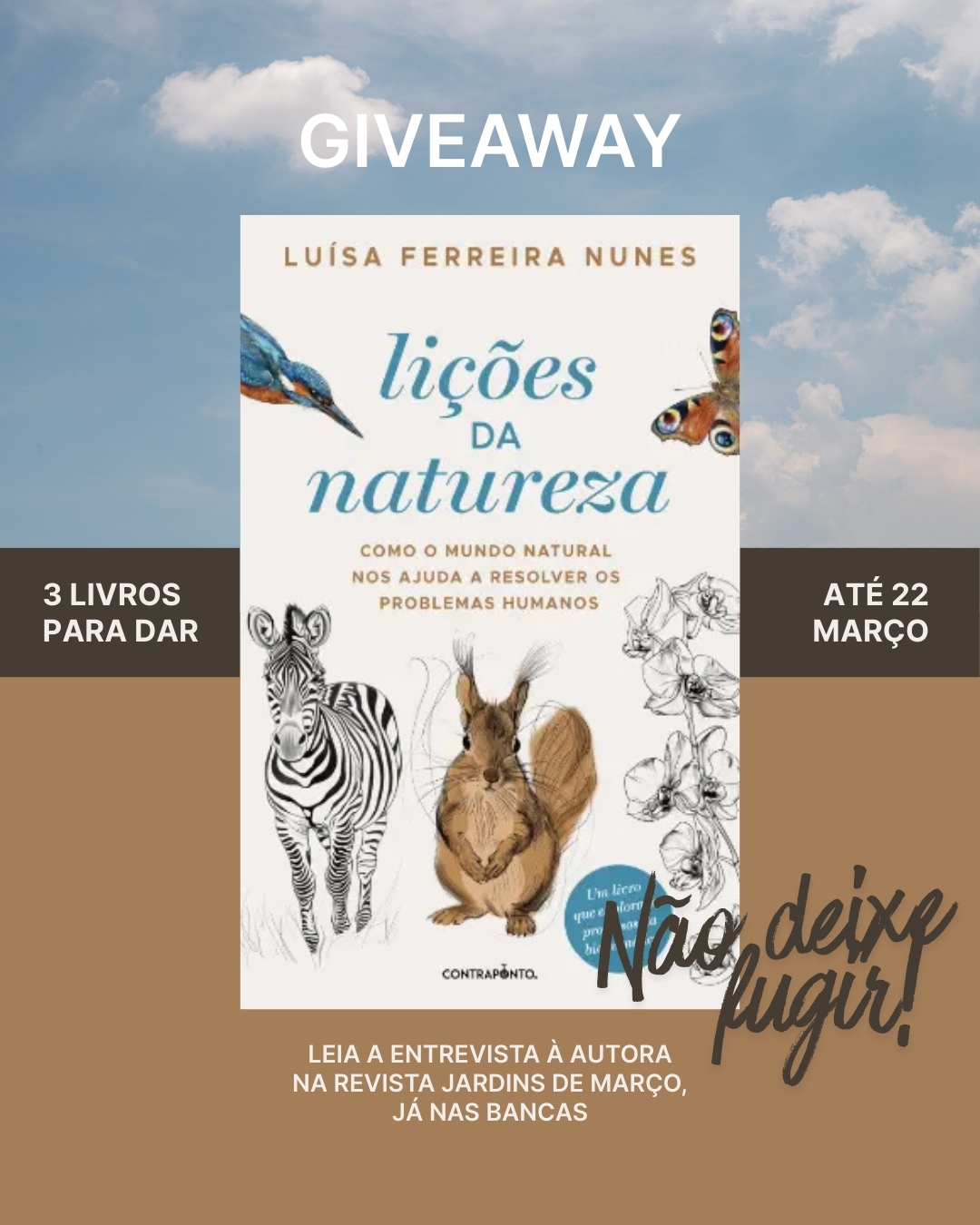 «Lições da Natureza», de Luísa Ferreira Nunes