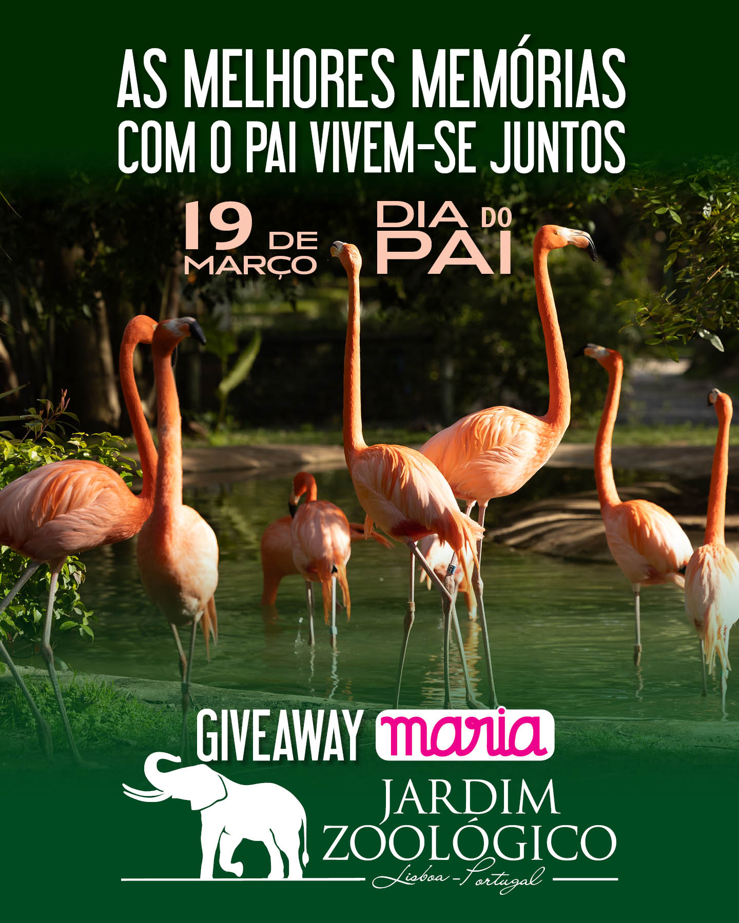 Passatempo Dia do Pai — Revista Maria