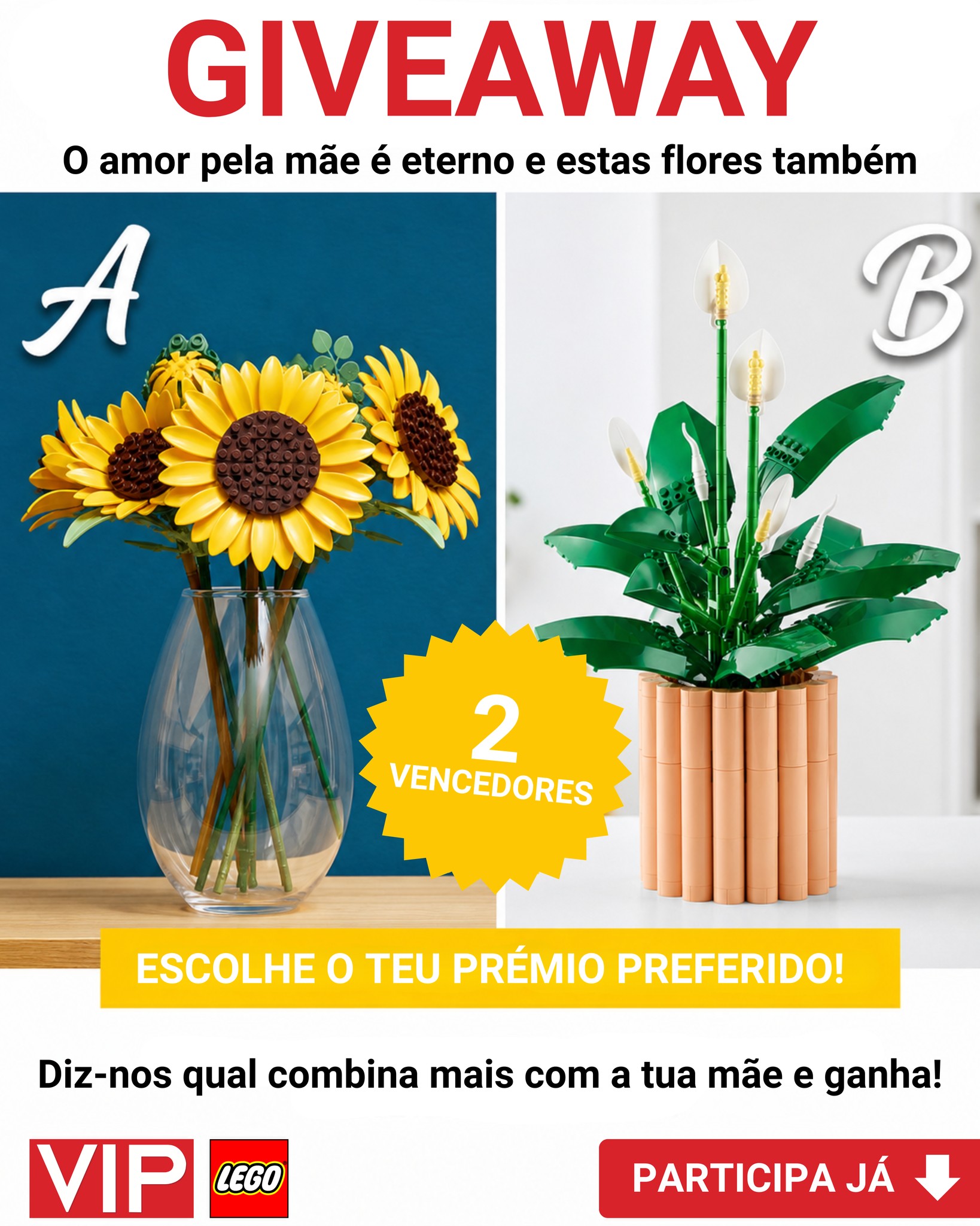 Passatempo Dia da Mãe — Revista VIP