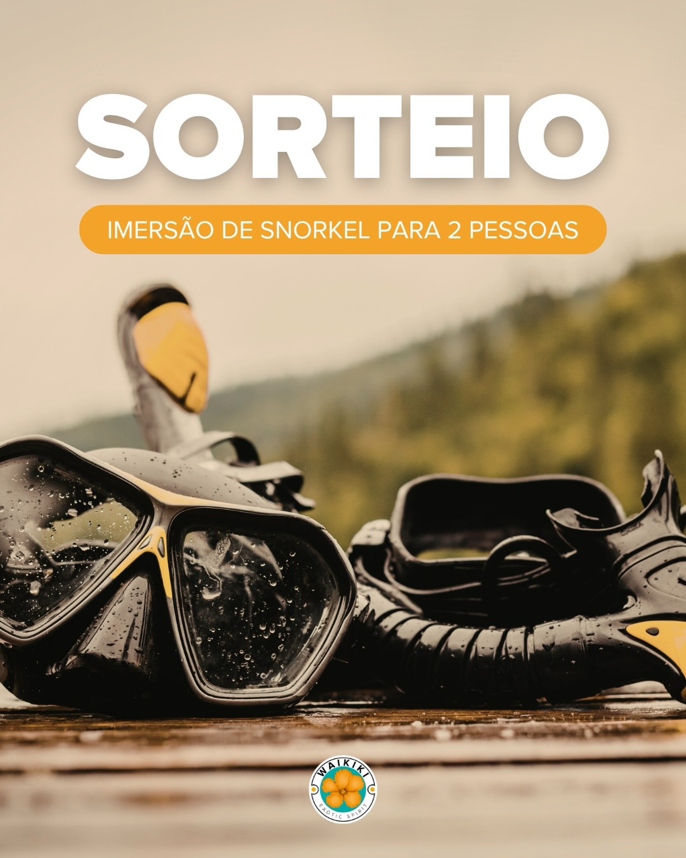 Passatempo Snorkeling — Exotic Waikiki