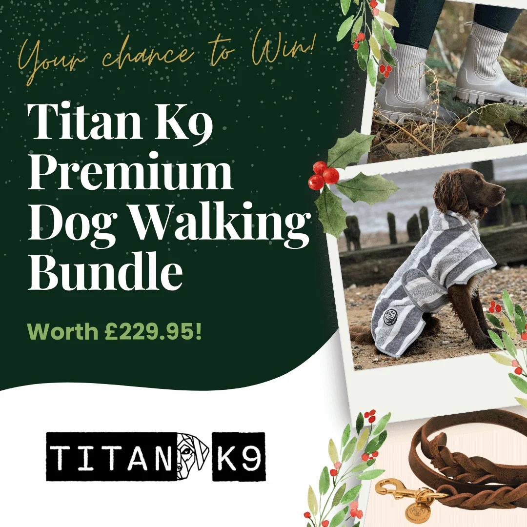 Titan K9 Dog Walking Bundle