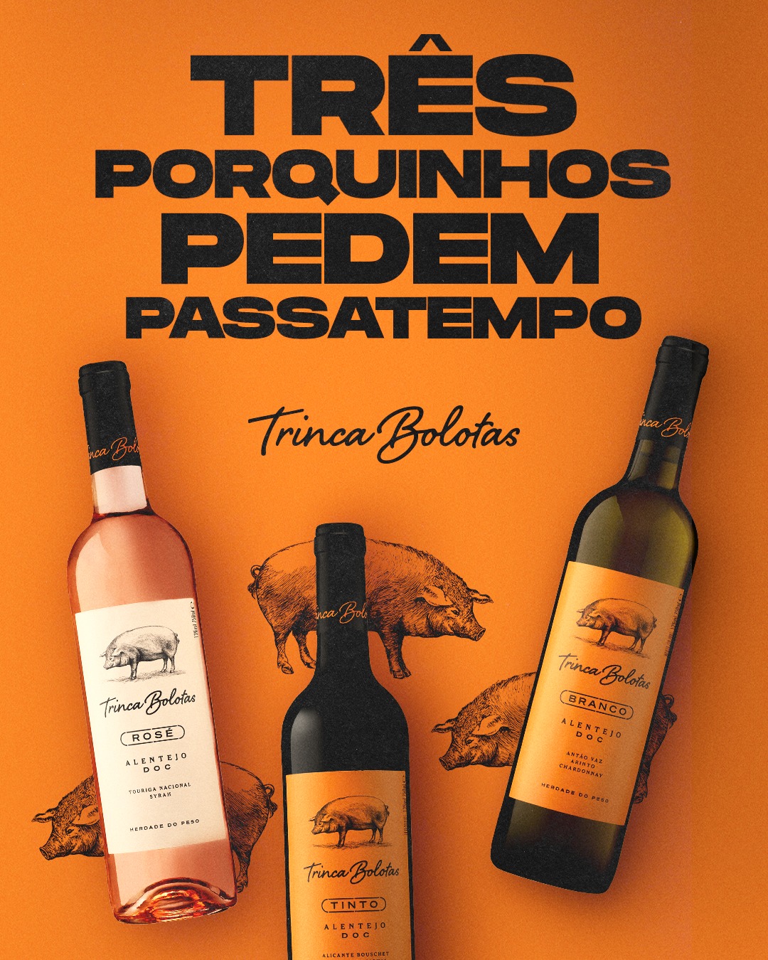 Passatempo Três Porquinhos Trinca Bolotas