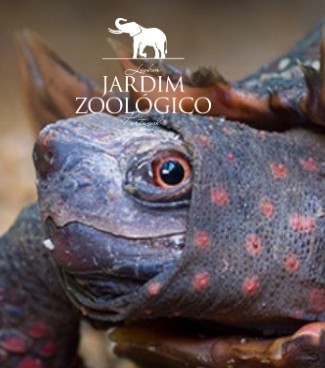 Jardim Zoológico