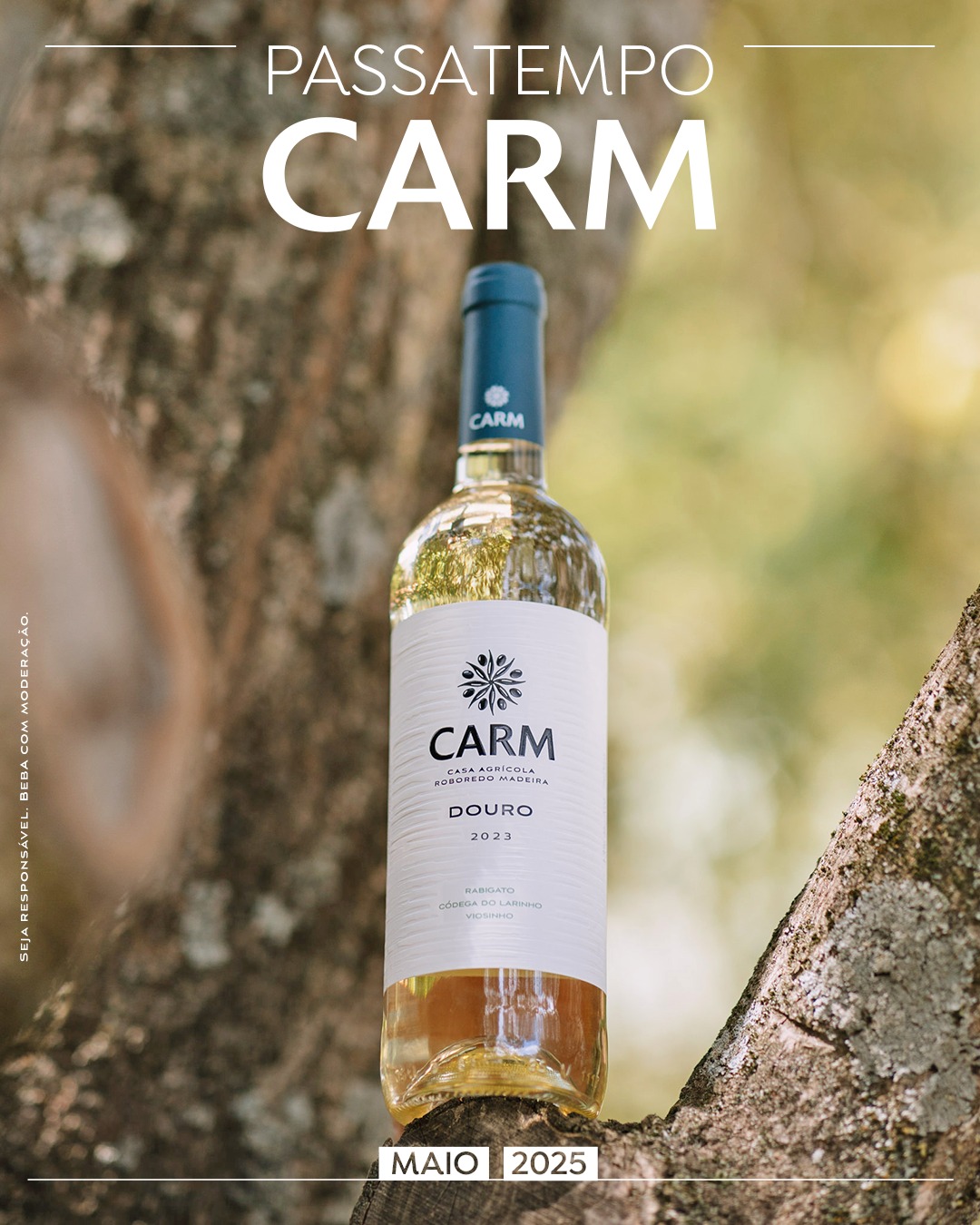Passatempo de Primavera - CARM
