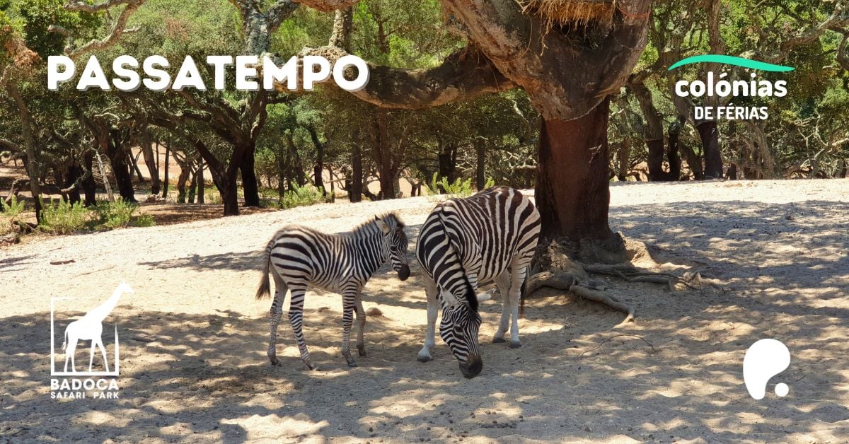 Badoca Safari Park