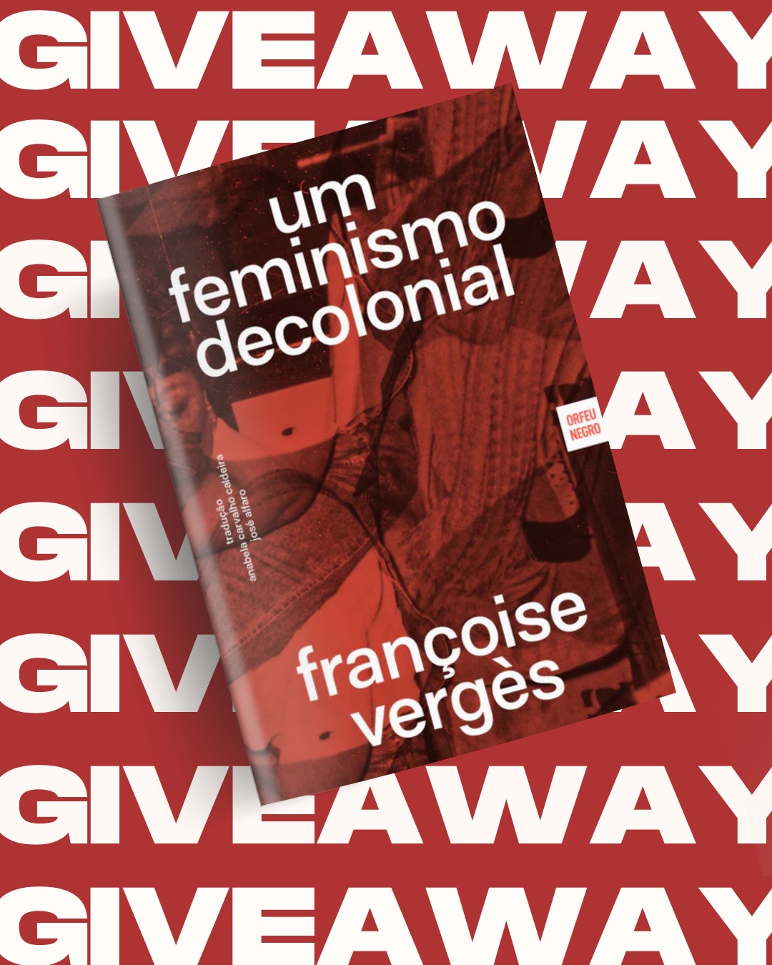 Um Feminismo Decolonial