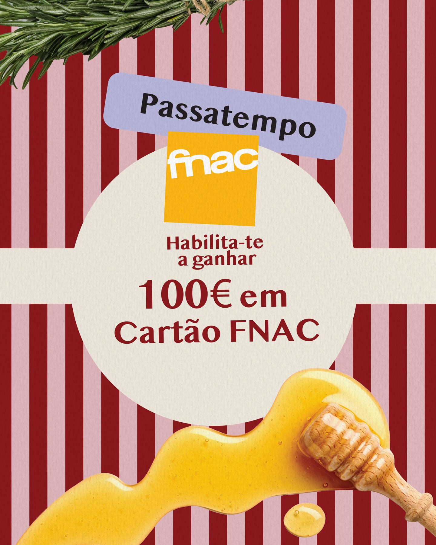 Passatempo Arreial de Queijo — Queijo Castelões