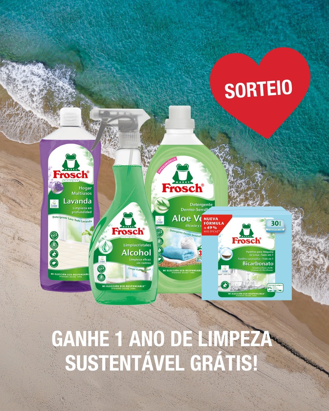 1 Ano de Limpeza Eco Grátis