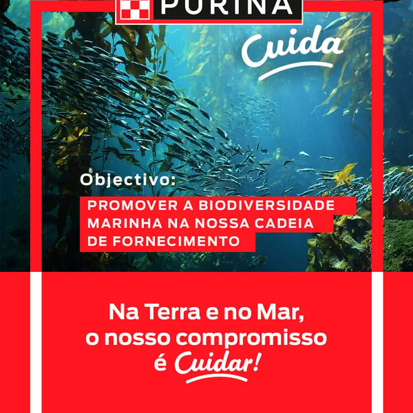 Viagem aos Açores
