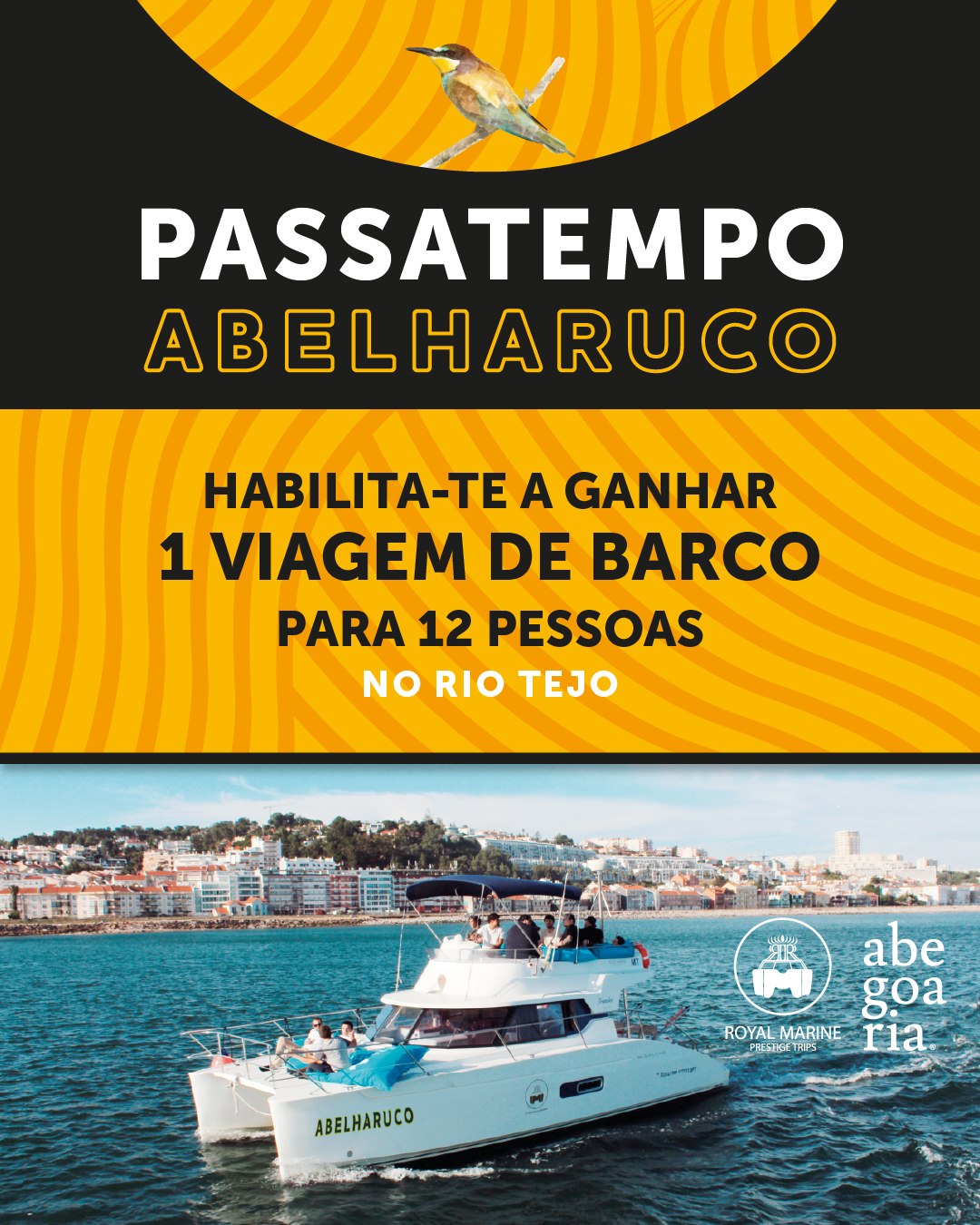 Viagem de Barco Royal Marine Abelharuco